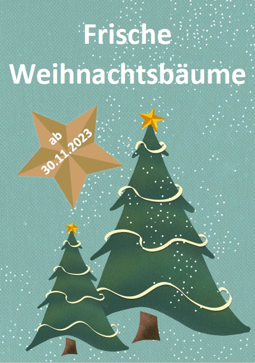 weihnachtsbaum 2023